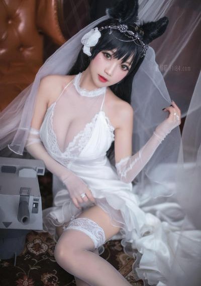 哈小浪免费动画片