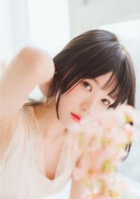 新十二生肖完整版免费观看